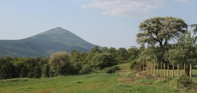 Montagna di Cetona vista dalla località i Poggi